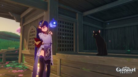 Baal and Neko in Genshin Impact